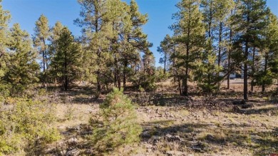 Alysha Ranson, Galles Properties, C: , alysha,  : Welcome to 79 on Pagosa Springs Golf Club in Colorado - for sale on GolfHomes.com, golf home, golf lot