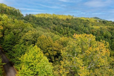 This lot is waiting for you to bring your house plan and begin on Mountain Harbour Golf Club in North Carolina - for sale on GolfHomes.com, golf home, golf lot