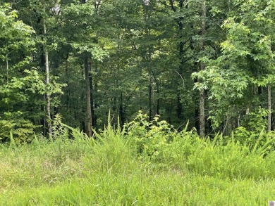 Looking for some acreage to build a home?  This approximately 23 on  in Kentucky - for sale on GolfHomes.com, golf home, golf lot