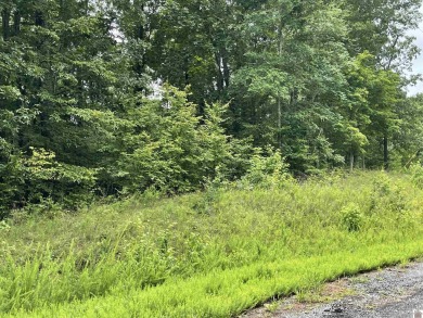 Looking for some acreage to build a home?  This approximately 23 on  in Kentucky - for sale on GolfHomes.com, golf home, golf lot