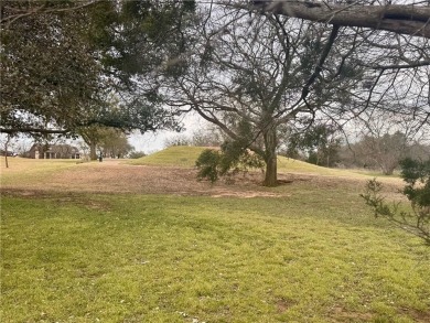 Beautiful Property in White Bluff on Lake Whitney

Discover on White Bluff Resort - New Course in Texas - for sale on GolfHomes.com, golf home, golf lot