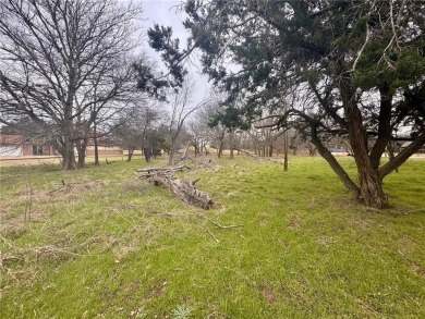 Beautiful Property in White Bluff on Lake Whitney

Discover on White Bluff Resort - New Course in Texas - for sale on GolfHomes.com, golf home, golf lot