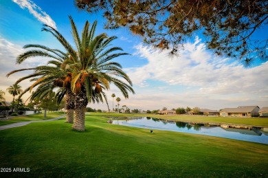 Perfectly situated on the fairway of the #6 hole of the Palms in on Oakwood Golf Club  in Arizona - for sale on GolfHomes.com, golf home, golf lot