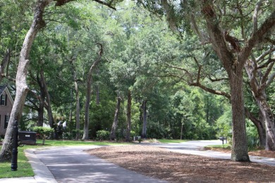 Embrace Lowcountry Living and build your dream home on Lot 46 on DeBordieu Country Club in South Carolina - for sale on GolfHomes.com, golf home, golf lot