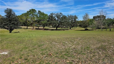 Want to watch the golfers play or enjoy the gorgeous Oak Trees? on Citrus Hills Golf Club in Florida - for sale on GolfHomes.com, golf home, golf lot