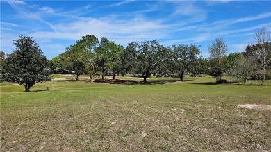 Want to watch the golfers play or enjoy the gorgeous Oak Trees? on Citrus Hills Golf Club in Florida - for sale on GolfHomes.com, golf home, golf lot