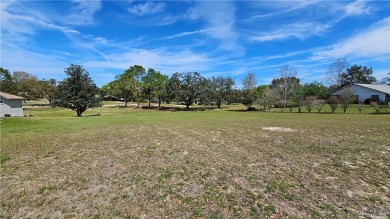 Want to watch the golfers play or enjoy the gorgeous Oak Trees? on Citrus Hills Golf Club in Florida - for sale on GolfHomes.com, golf home, golf lot