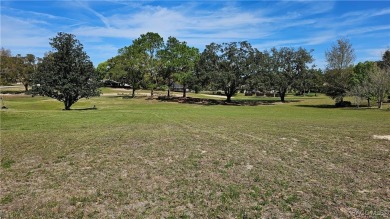 Want to watch the golfers play or enjoy the gorgeous Oak Trees? on Citrus Hills Golf Club in Florida - for sale on GolfHomes.com, golf home, golf lot