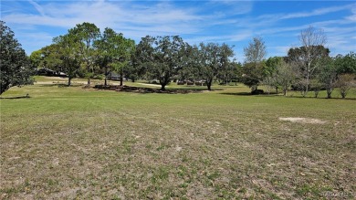 Want to watch the golfers play or enjoy the gorgeous Oak Trees? on Citrus Hills Golf Club in Florida - for sale on GolfHomes.com, golf home, golf lot