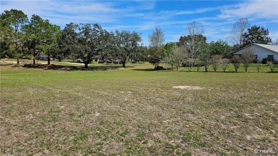 Want to watch the golfers play or enjoy the gorgeous Oak Trees? on Citrus Hills Golf Club in Florida - for sale on GolfHomes.com, golf home, golf lot