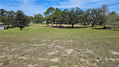 Want to watch the golfers play or enjoy the gorgeous Oak Trees? on Citrus Hills Golf Club in Florida - for sale on GolfHomes.com, golf home, golf lot
