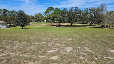 Want to watch the golfers play or enjoy the gorgeous Oak Trees? on Citrus Hills Golf Club in Florida - for sale on GolfHomes.com, golf home, golf lot