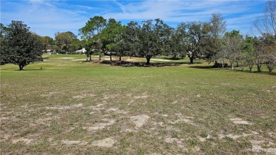 Want to watch the golfers play or enjoy the gorgeous Oak Trees? on Citrus Hills Golf Club in Florida - for sale on GolfHomes.com, golf home, golf lot