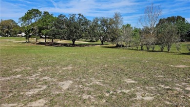 Want to watch the golfers play or enjoy the gorgeous Oak Trees? on Citrus Hills Golf Club in Florida - for sale on GolfHomes.com, golf home, golf lot