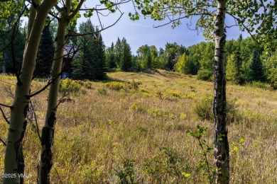 Beautifully situated homesite directly across from the Summit on Club At Cordillera Summit Course in Colorado - for sale on GolfHomes.com, golf home, golf lot