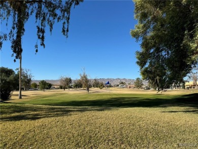 Simple living at its finest!  This ground level, 1 bed/1 full on Chaparral Golf and Country Club in Arizona - for sale on GolfHomes.com, golf home, golf lot