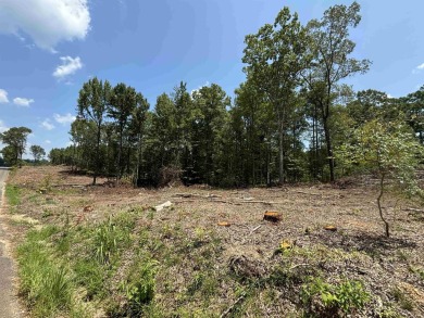 Don't miss out on this land past the Sheridan Golf Club*there on Sheridan Golf Club in Arkansas - for sale on GolfHomes.com, golf home, golf lot