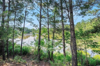 This is a beautifully maintained 2-bedroom, 2-bathroom condo on Barefoot Resort and Golf Club  in South Carolina - for sale on GolfHomes.com, golf home, golf lot