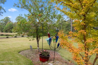 Wow what a View, GOLF, NATURE and POND, You want it All? It's on Members Club At St. James Plantation in North Carolina - for sale on GolfHomes.com, golf home, golf lot