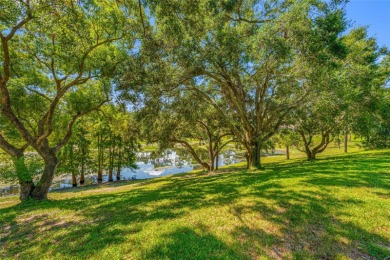 This updated home offers one of the most stunning views in all on Highland Lakes Executive Golf Course in Florida - for sale on GolfHomes.com, golf home, golf lot