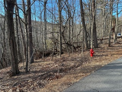 Lot 1141 Oglethorpe Mountain Road in Bent Tree is 1.02 acres on Bent Tree Golf Course in Georgia - for sale on GolfHomes.com, golf home, golf lot