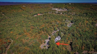 Successful Short Term Rental, Setup as a turn Key Studio ready on Mountain Ranch Golf Club in Arkansas - for sale on GolfHomes.com, golf home, golf lot