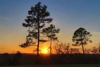 Imagine stunning views and sunsets with this brand-new/never on Golf Club At North Hampton in Florida - for sale on GolfHomes.com, golf home, golf lot