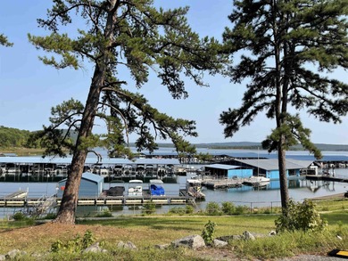 Successful Short Term Rental, Setup as a turn Key Studio ready on Mountain Ranch Golf Club in Arkansas - for sale on GolfHomes.com, golf home, golf lot