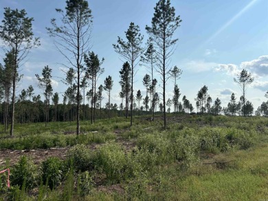 This land has a house pad with the stumps already cleared*this on Sheridan Golf Club in Arkansas - for sale on GolfHomes.com, golf home, golf lot