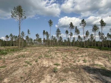 This land has a house pad with the stumps already cleared*this on Sheridan Golf Club in Arkansas - for sale on GolfHomes.com, golf home, golf lot