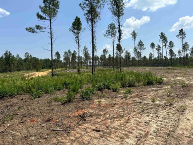 This land has a house pad with the stumps already cleared*this on Sheridan Golf Club in Arkansas - for sale on GolfHomes.com, golf home, golf lot