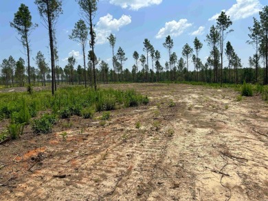 This land has a house pad with the stumps already cleared*this on Sheridan Golf Club in Arkansas - for sale on GolfHomes.com, golf home, golf lot