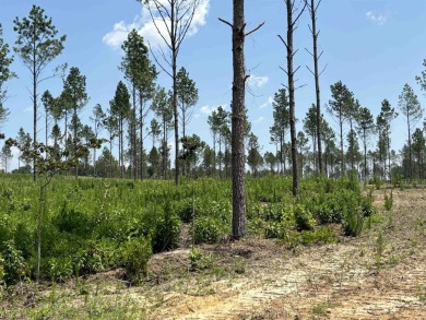 This land has a house pad with the stumps already cleared*this on Sheridan Golf Club in Arkansas - for sale on GolfHomes.com, golf home, golf lot