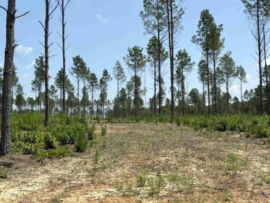 This land has a house pad with the stumps already cleared*this on Sheridan Golf Club in Arkansas - for sale on GolfHomes.com, golf home, golf lot