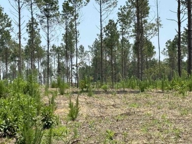 This land has a house pad with the stumps already cleared*this on Sheridan Golf Club in Arkansas - for sale on GolfHomes.com, golf home, golf lot