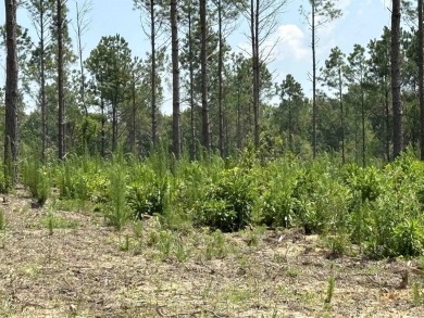 This land has a house pad with the stumps already cleared*this on Sheridan Golf Club in Arkansas - for sale on GolfHomes.com, golf home, golf lot