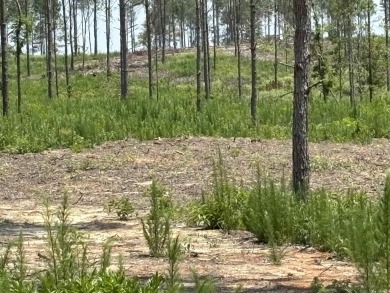 This land has a house pad with the stumps already cleared*this on Sheridan Golf Club in Arkansas - for sale on GolfHomes.com, golf home, golf lot