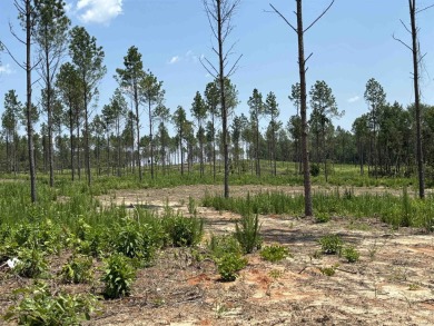 Six lots-pick your favorite!*has a house pad with the stumps on Sheridan Golf Club in Arkansas - for sale on GolfHomes.com, golf home, golf lot