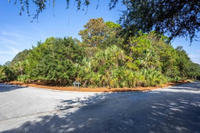 Nestled amidst the natural beauty of exclusive Ocean Pointe on The Seabrook Island Club in South Carolina - for sale on GolfHomes.com, golf home, golf lot