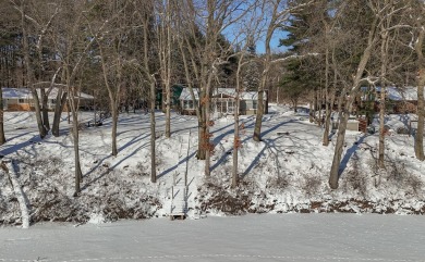 Welcome to this picturesque lakeside retreat, nestled on the on Spruce Ridge Golf Club in Michigan - for sale on GolfHomes.com, golf home, golf lot