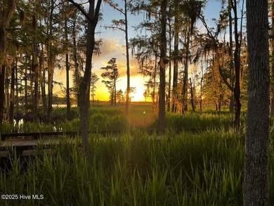 JUST RENOVATED!!! Both bathrooms TOTALLY remodeled adding newly on Sound Golf Links at Albemarle Plantation in North Carolina - for sale on GolfHomes.com, golf home, golf lot