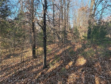 Build on this fairly level, .28 acre lot Cul-de-sac road is on Bella Vista - Metfield Golf Complex and Country Club in Arkansas - for sale on GolfHomes.com, golf home, golf lot