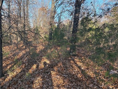 Build on this fairly level, .28 acre lot Cul-de-sac road is on Bella Vista - Metfield Golf Complex and Country Club in Arkansas - for sale on GolfHomes.com, golf home, golf lot