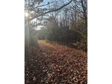 Build on this fairly level, .28 acre lot Cul-de-sac road is on Bella Vista - Metfield Golf Complex and Country Club in Arkansas - for sale on GolfHomes.com, golf home, golf lot