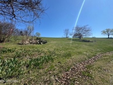 Beautiful Lot Overlooking Norris Lake & The Greens @ Deerfield on The Greens at Deerfield in Tennessee - for sale on GolfHomes.com, golf home, golf lot