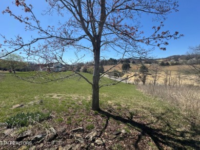 Beautiful Lot Overlooking Norris Lake & The Greens @ Deerfield on The Greens at Deerfield in Tennessee - for sale on GolfHomes.com, golf home, golf lot