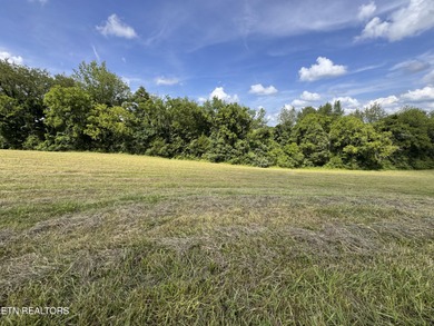 2 lots being sold together totaling 2.55 acres. 9611 & 9615 on River Islands Golf Club in Tennessee - for sale on GolfHomes.com, golf home, golf lot