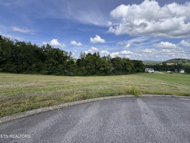 2 lots being sold together totaling 2.55 acres. 9611 & 9615 on River Islands Golf Club in Tennessee - for sale on GolfHomes.com, golf home, golf lot