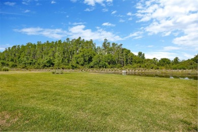 Better than new construction...Welcome to 4831 Rosatti Road on Saddlebrook Golf and Country Club in Florida - for sale on GolfHomes.com, golf home, golf lot