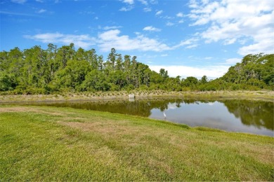 Better than new construction...Welcome to 4831 Rosatti Road on Saddlebrook Golf and Country Club in Florida - for sale on GolfHomes.com, golf home, golf lot